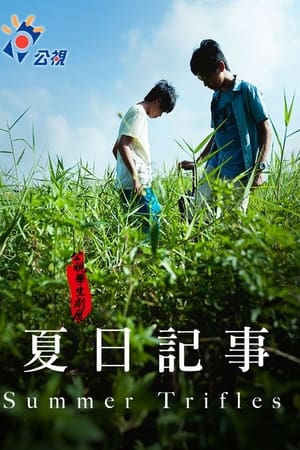 夏日紀事海报