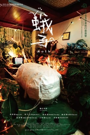 蛾子