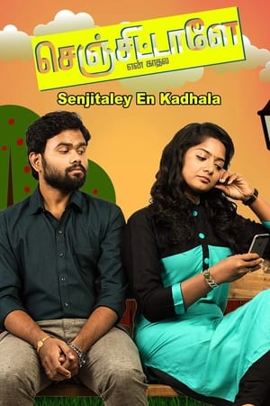 செஞ்சிட்டாளே என் காதல电影海报