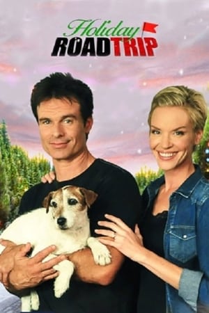 假日之旅,Holiday Road Trip(2013电影)