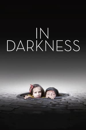 黑暗弥漫,In Darkness(2011电影)