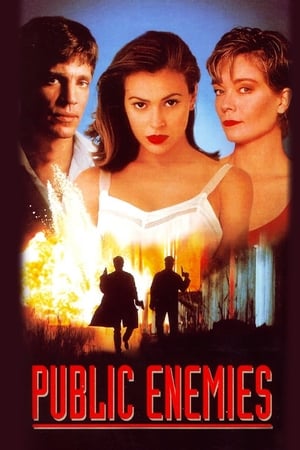 悍将老妈,Public Enemies(1996电影)