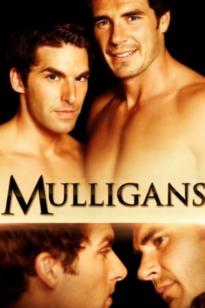 人生第2杆,Mulligans(2008电影)