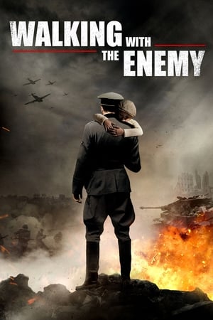 与敌同行,Walking with the Enemy(2014电影)