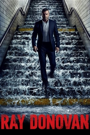 清道夫,Ray Donovan(2013电视剧集)