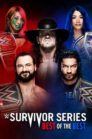WWE 强者生存 2020