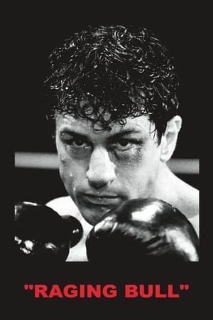 愤怒的公牛,Raging Bull(1980电影)