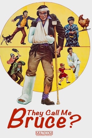 他们叫我布鲁斯,They Call Me Bruce?(1982电影)