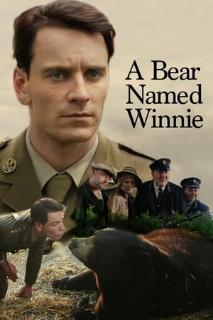 黑熊维尼,A Bear Named Winnie(2004电影)