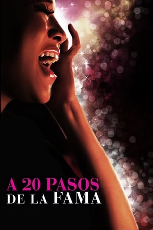 离巨星二十英尺,20 Feet from Stardom(2013电影)