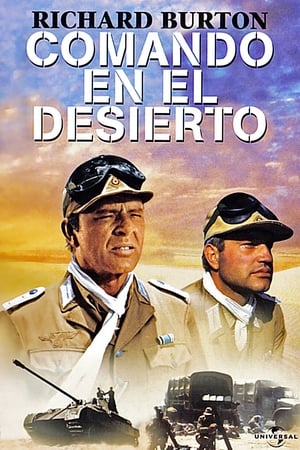 黎明时战火纷飞,Raid on Rommel(1971电影)