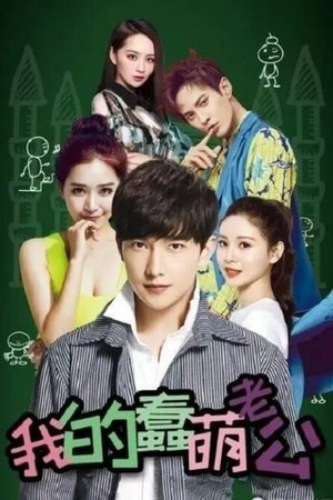 我的蠢萌老公(2016电视剧集)