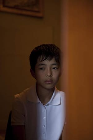 A Boy Inside the Boy海报