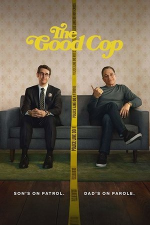 模范警察,The Good Cop(2018电视剧集)