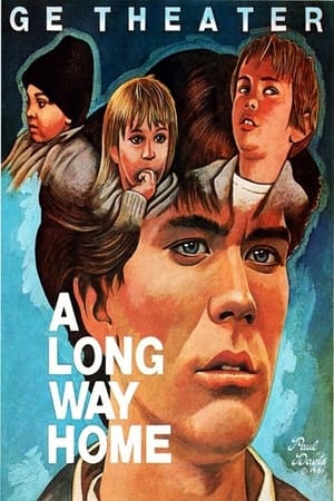 相见时难,A Long Way Home(1981电影)