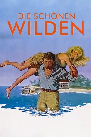 野岛真情,Le Sauvage(1975电影)