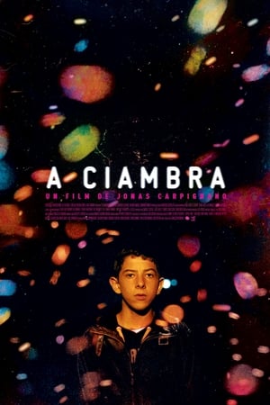 罗姆男孩,A Ciambra(2017电影)