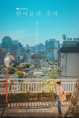 盛夏的回忆