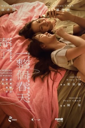 寄了一整个春天