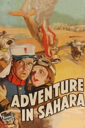 撒哈拉大冒险,Adventure in Sahara(1938电影)
