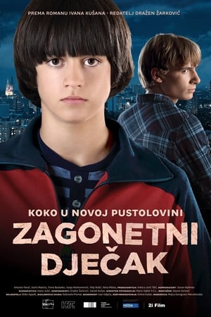 Zagonetni dječak电影海报