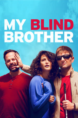 我的盲兄弟,My Blind Brother(2016电影)