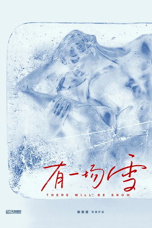 有一场雪海报