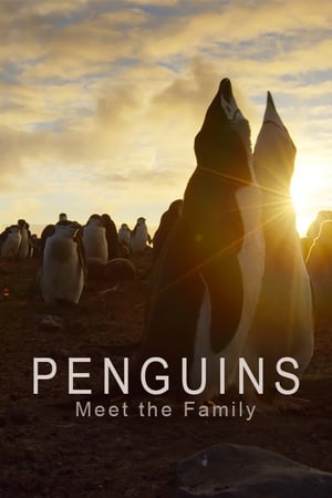 企鹅家族,Penguins: Meet the Family(2020电影)