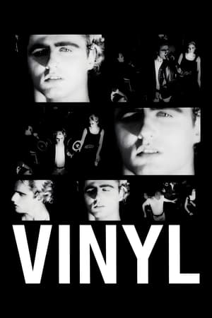 黑胶,Vinyl(1965电影)