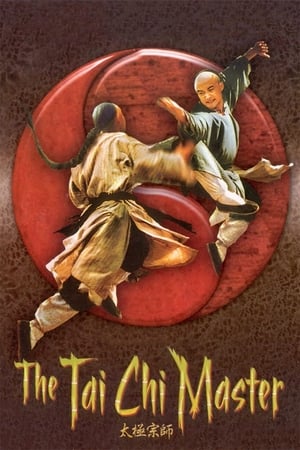 太極宗師(2003电影)