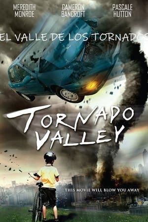 旋风谷,Tornado Valley(2009电影)