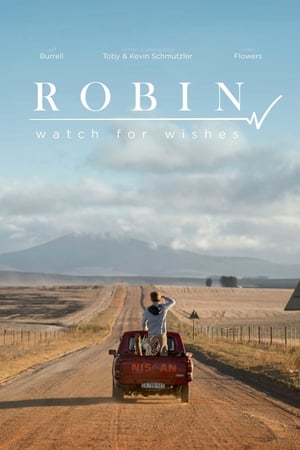 Robin: Watch for Wishes电影海报
