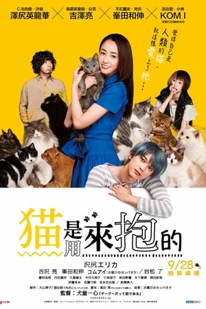 猫是要抱着的电影海报
