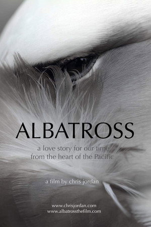 Albatross海报