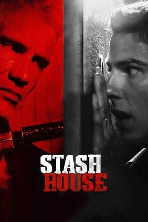房祸,Stash House(2012电影)