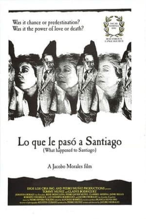 圣地亚哥奇遇,Lo que le pasó a Santiago(1989电影)