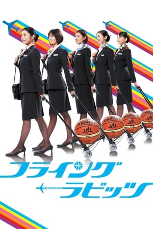 飞行兔子