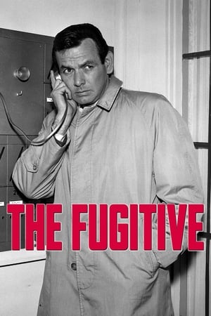 亡命天涯,The Fugitive(1963电视剧集)