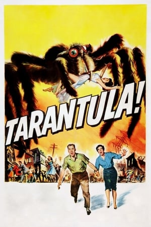 狼蛛,Tarantula(1955电影)