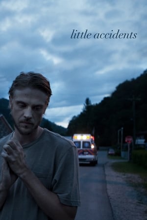 小型事故,Little Accidents(2014电影)