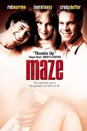 迷宫,Maze(2001电影)