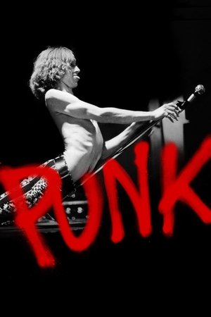 朋克,Punk(2019电视剧集)