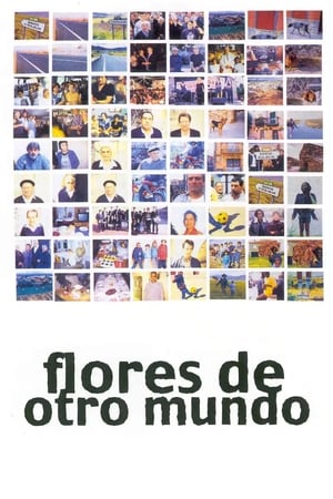 异国之花,Flores de otro mundo(1999电影)