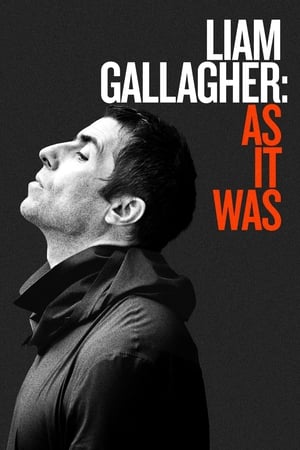 利亚姆·加拉格尔：如初,Liam Gallagher: As It Was(2019电影)