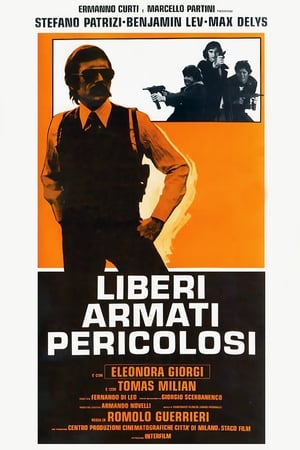 年轻，暴力，危险,Liberi armati pericolosi(1976电影)