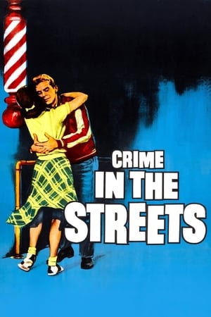 街头争霸,Crime in the Streets(1956电影)