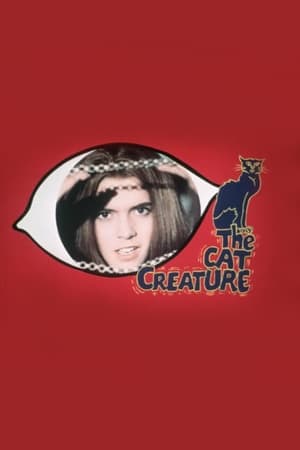 猫精灵