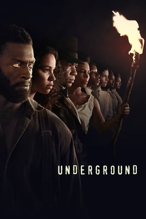 地下党,Underground(2016电视剧集)