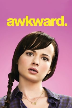 懵懂少女,Awkward.(2011电视剧集)