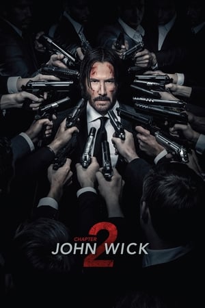 疾速追杀2,John Wick: Chapter 2(2017电影)